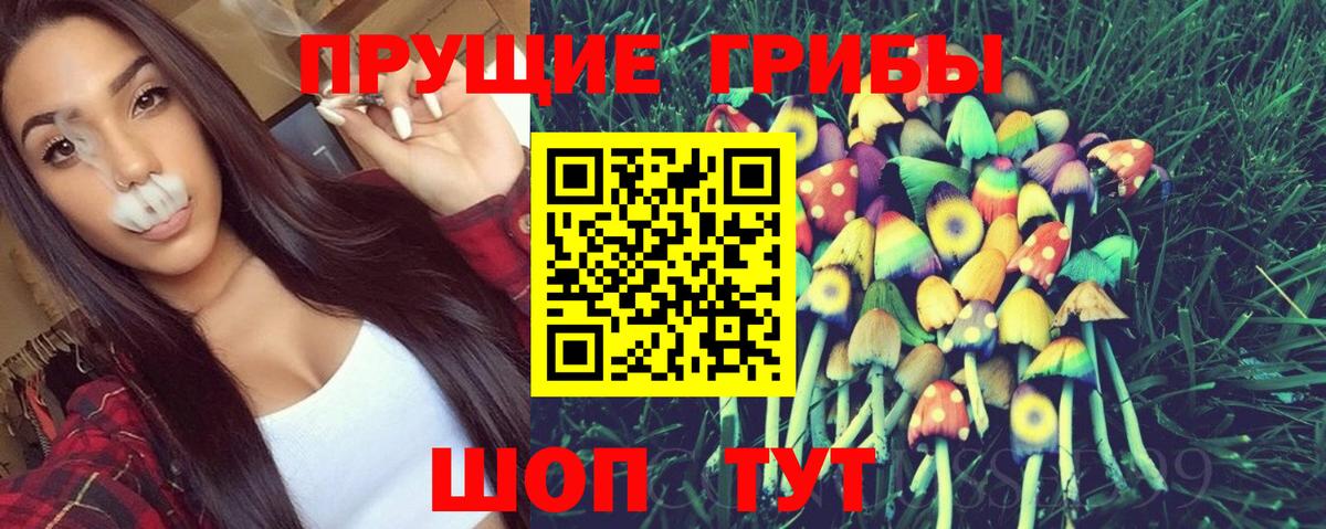 Псилоцибиновые грибы MAGIC MUSHROOMS Будённовск
